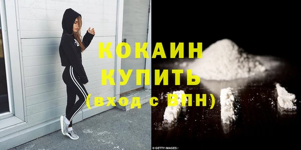 шишки Наволоки