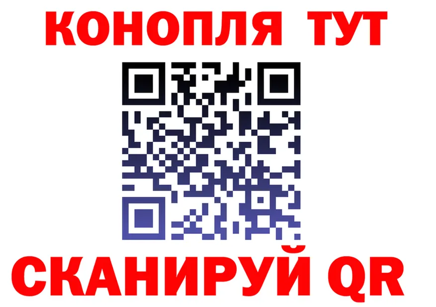Бошки Шишки VHQ зеркало площадка KRAKEN Суздаль